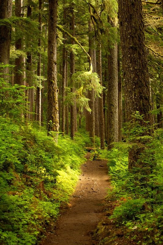 пейзаж - оригинал