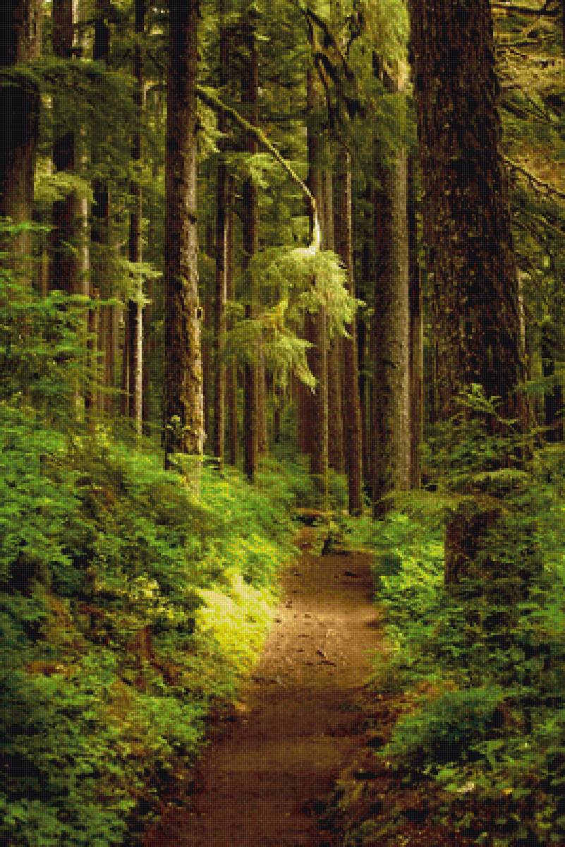 пейзаж - предпросмотр