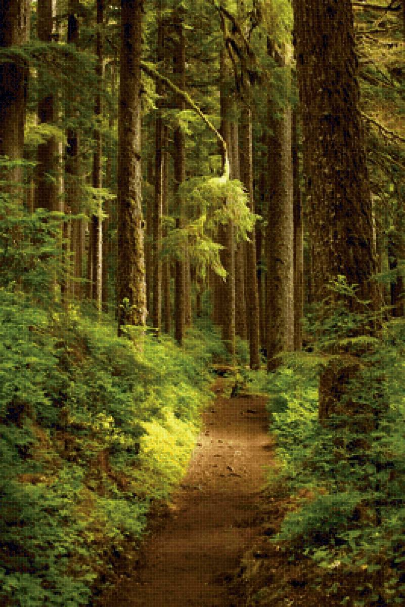 пейзаж - предпросмотр