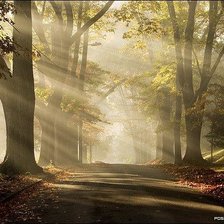 Схема вышивки «пейзаж»