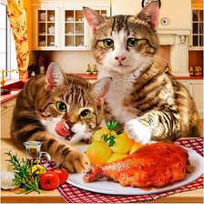 Схема вышивки «коты»