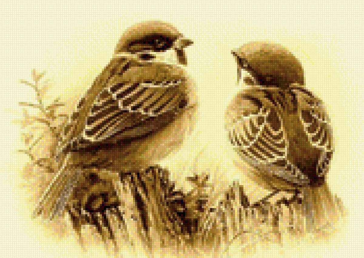 Чирики - птицы - предпросмотр