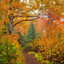 Схема вышивки «Paisagem de outono.»