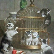 Bird cage