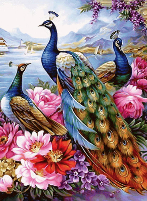 pauni - оригинал