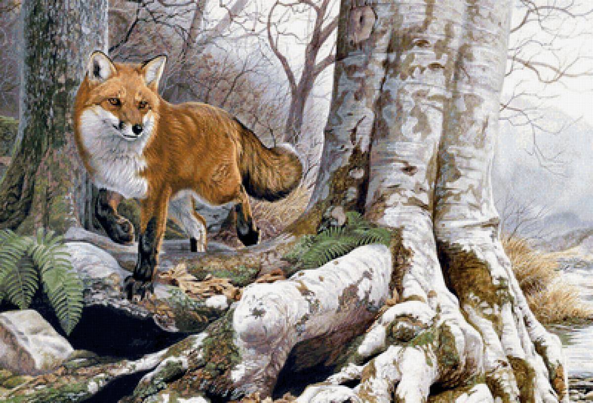 лиса - лиса, животные - предпросмотр