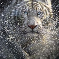 Схема вышивки «№2352171»