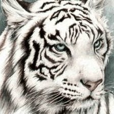 Схема вышивки «№2352173»