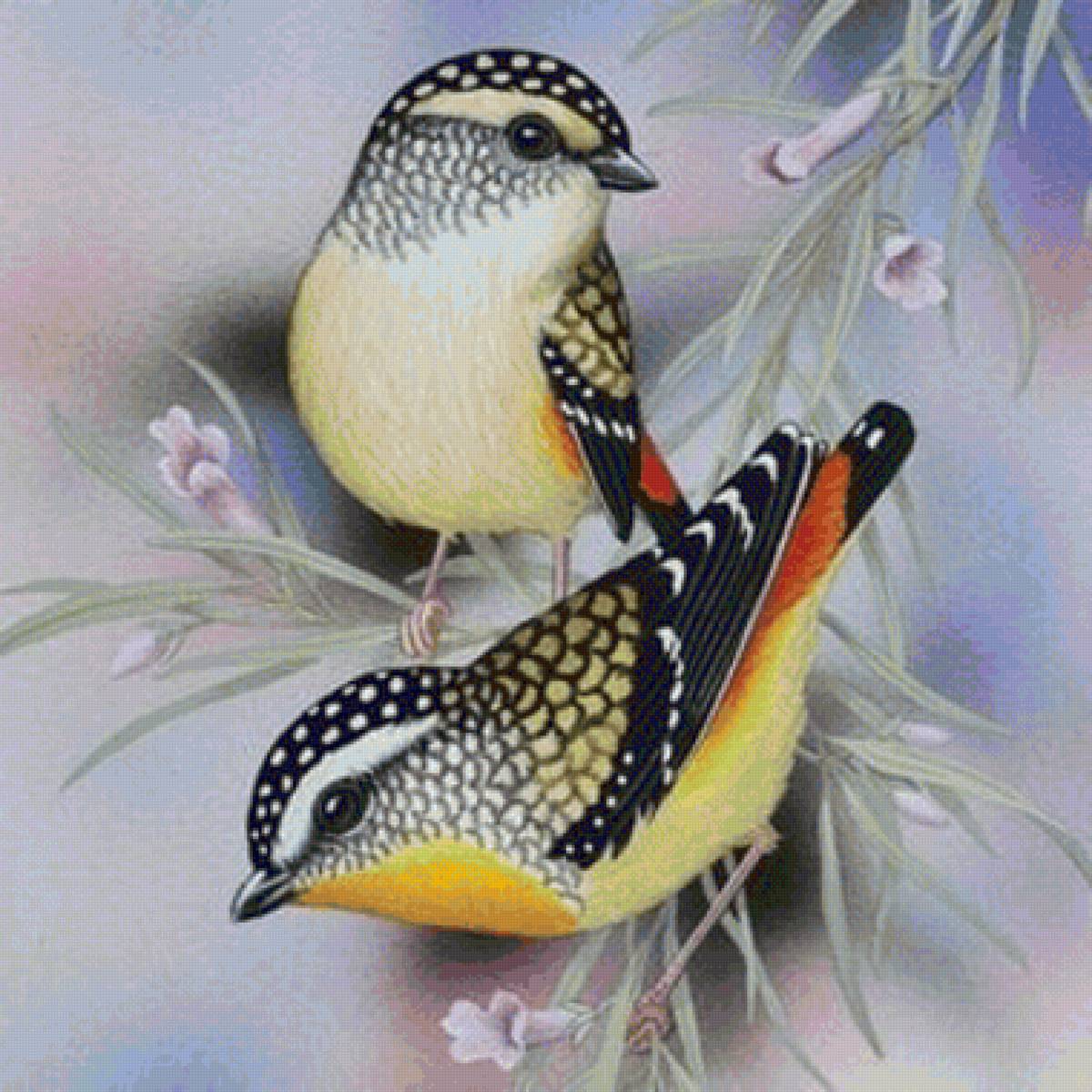 Pássaros . - pássaros. - предпросмотр