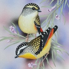 Схема вышивки «Pássaros .»