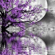 Схема вышивки «лунный»