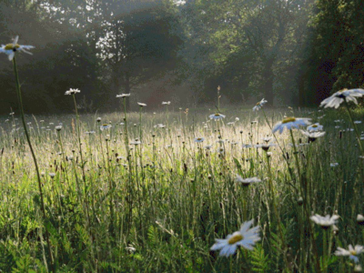 №2352576 - предпросмотр