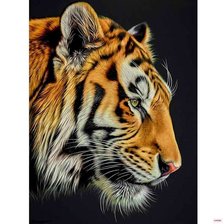 Схема вышивки «№2354109»