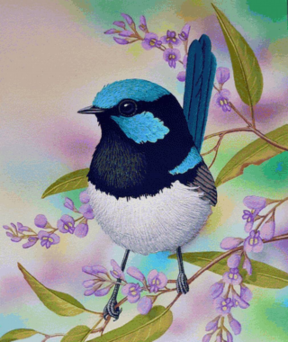 Pássaro. - flores. pássaro. - предпросмотр