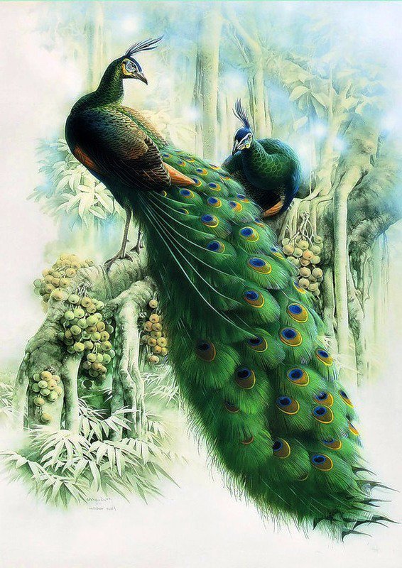 №2355153 - оригинал