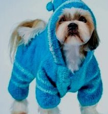 Схема вышивки «ши тцу»