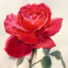 Оригинал схемы вышивки «Красная роза» (№2355635)
