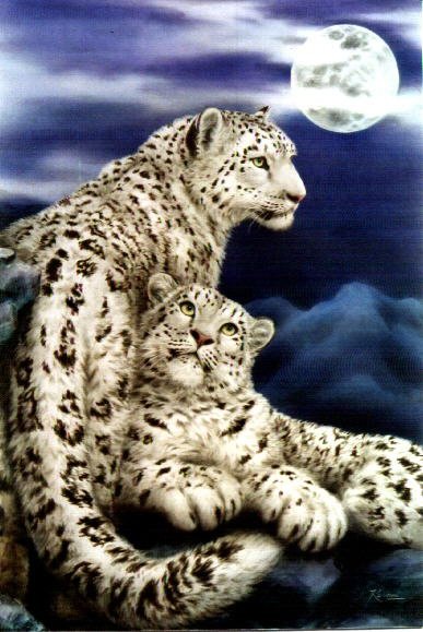 №2355752 - оригинал