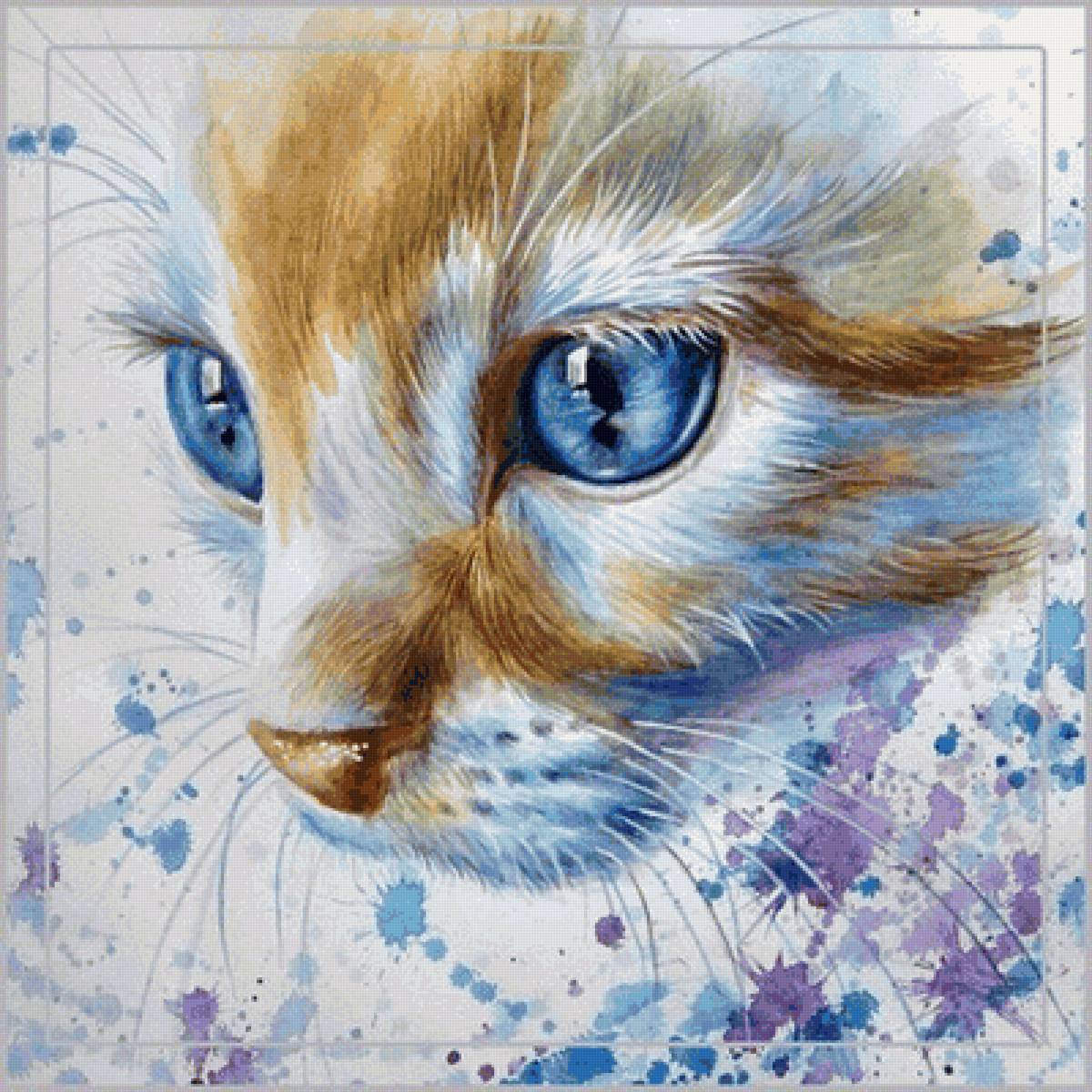 Котенок - предпросмотр