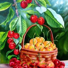 Схема вышивки «Вишни»