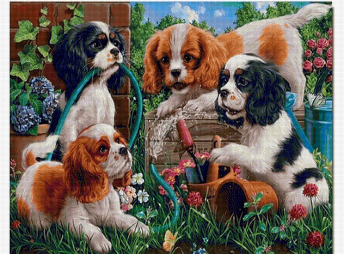 №2356415 - предпросмотр