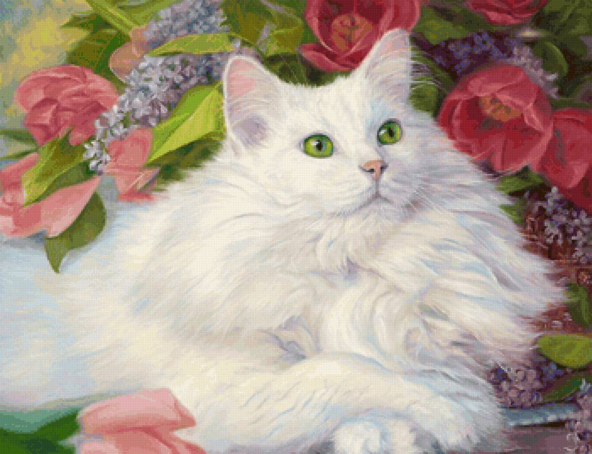 белая кошка - кошка - предпросмотр
