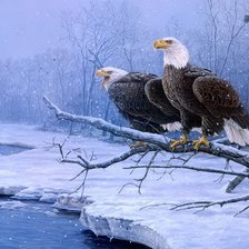 Схема вышивки «№2356575»