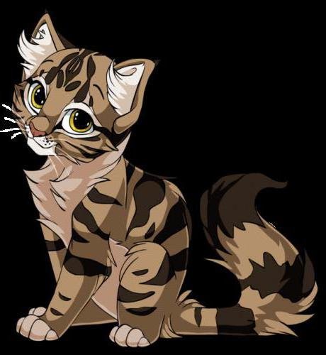 Кошечка - оригинал