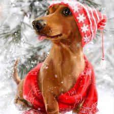 Схема вышивки «Новогодний песик»