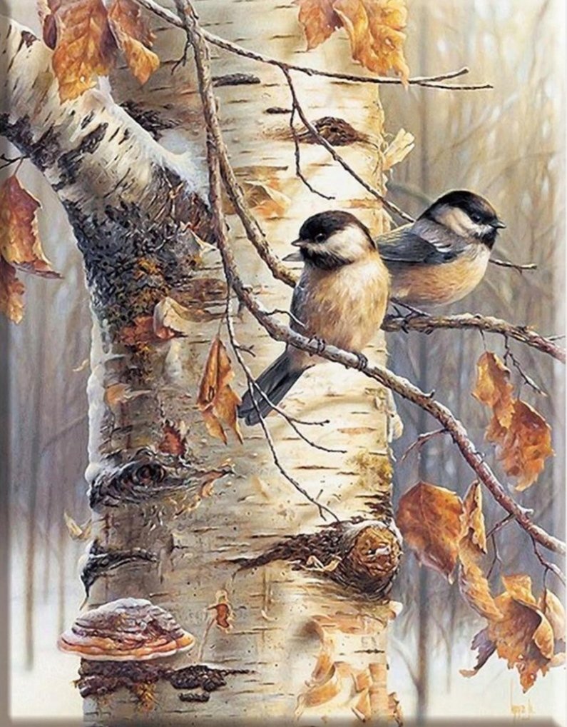 Птички - оригинал