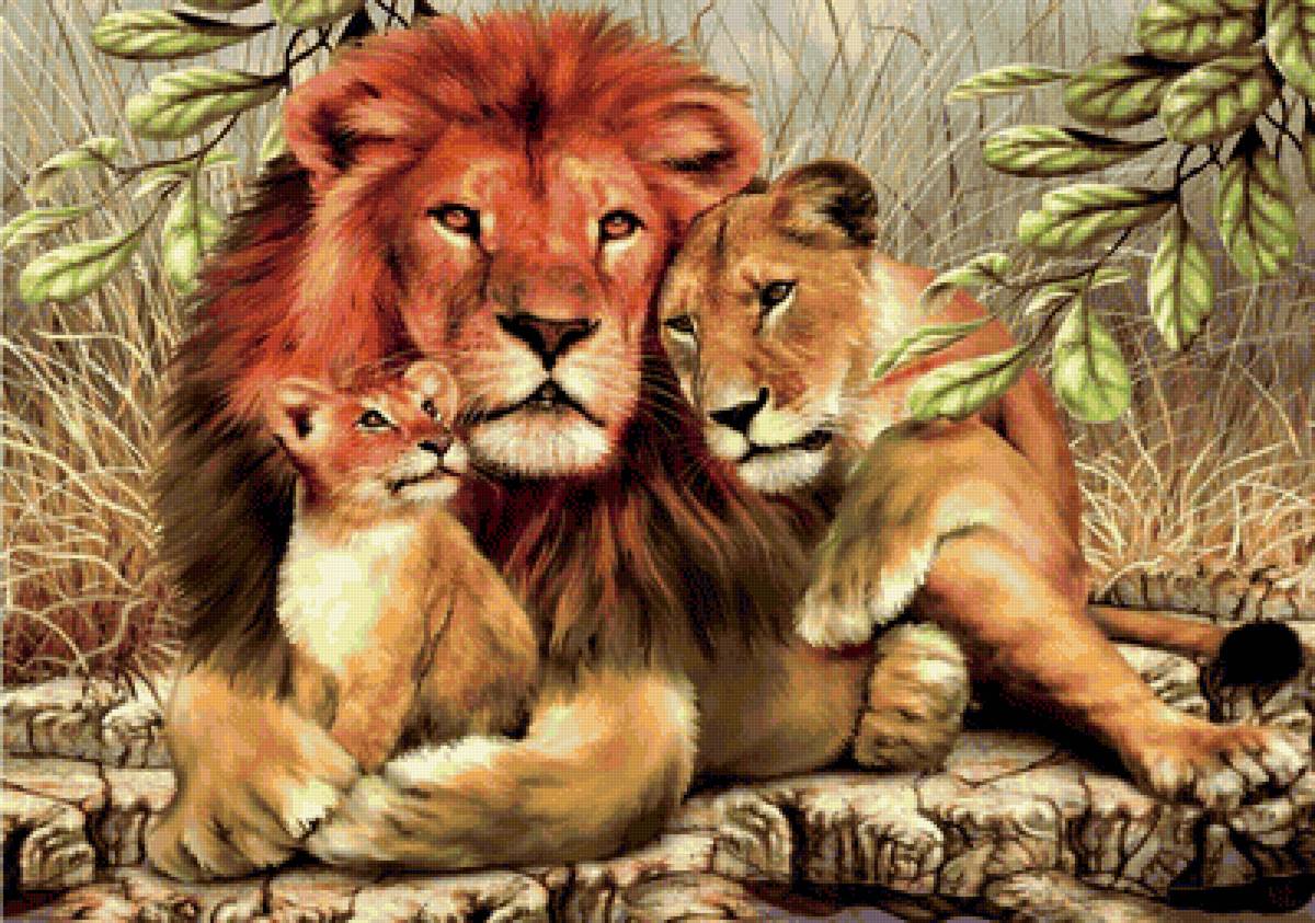 Львиная семья - предпросмотр