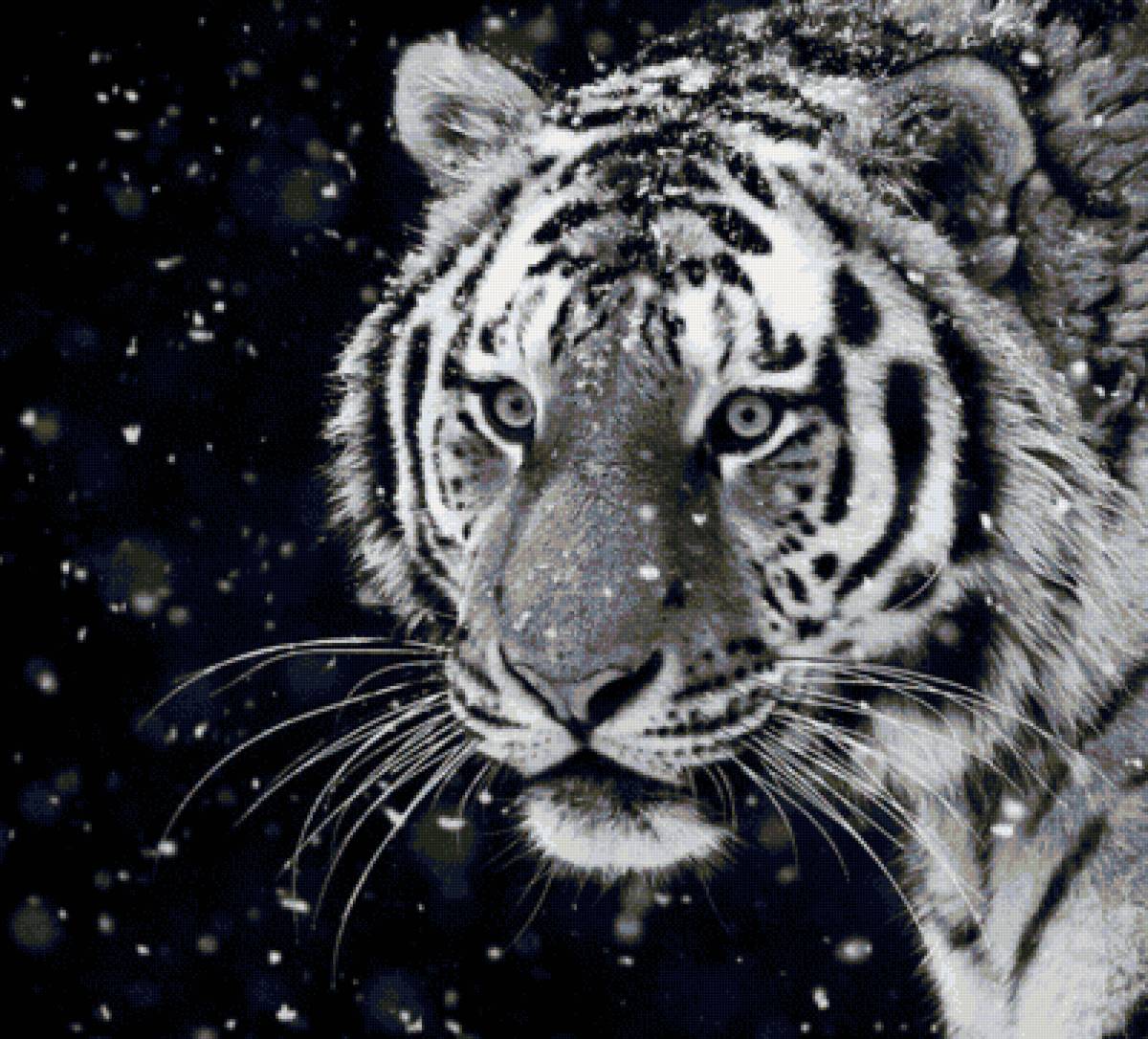 Тигр (монохром) - предпросмотр