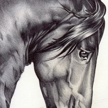 Схема вышивки «Лошадь (рисунок)»