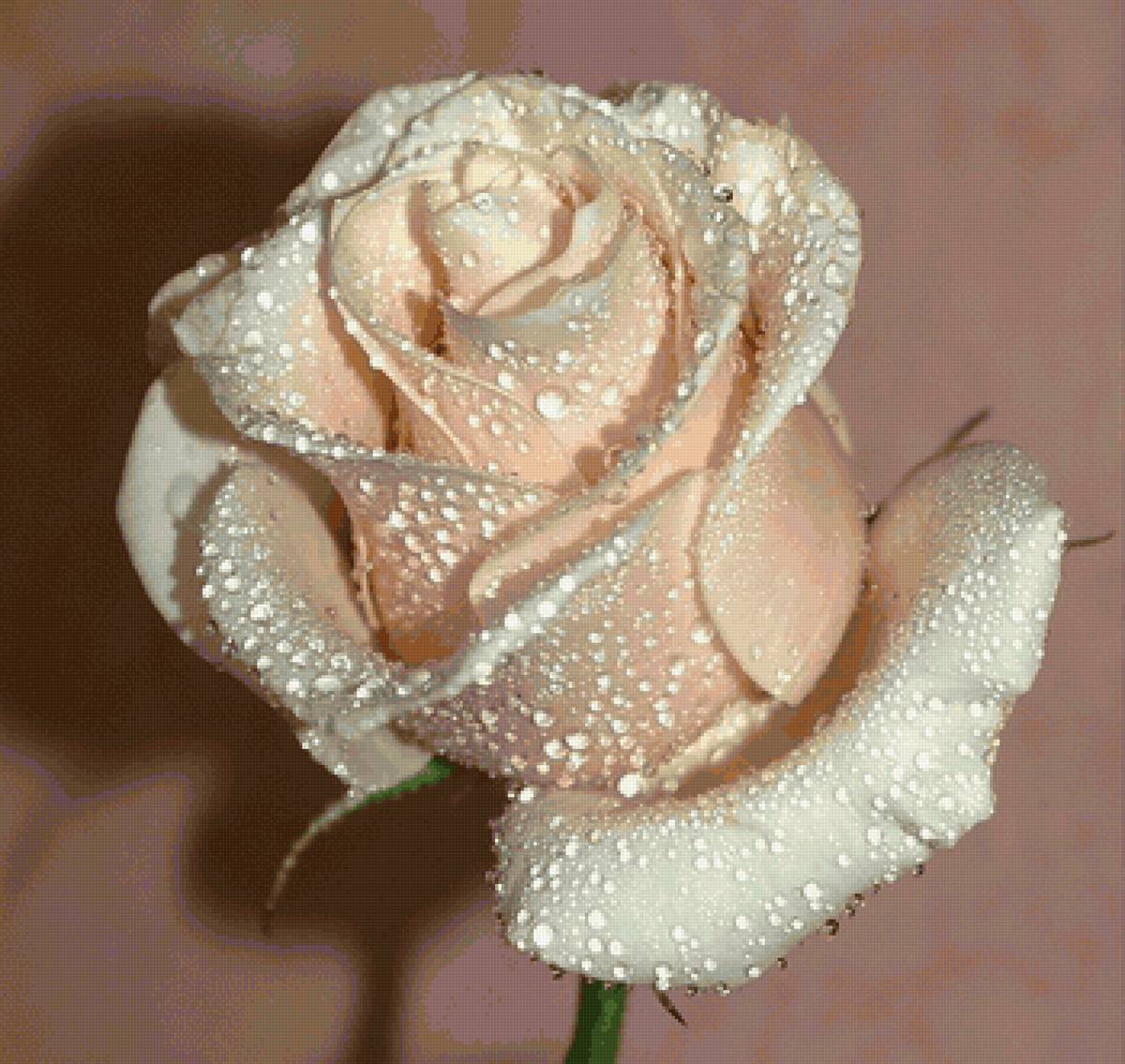 №2358048 - предпросмотр