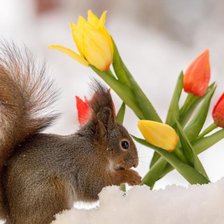 Схема вышивки «№2358058»