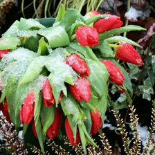 Схема вышивки «№2358059»