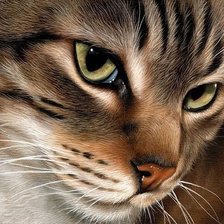 Схема вышивки «Кошечка»