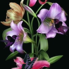 Схема вышивки «№2358883»