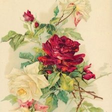 Оригинал схемы вышивки «Розы» (№2359072)