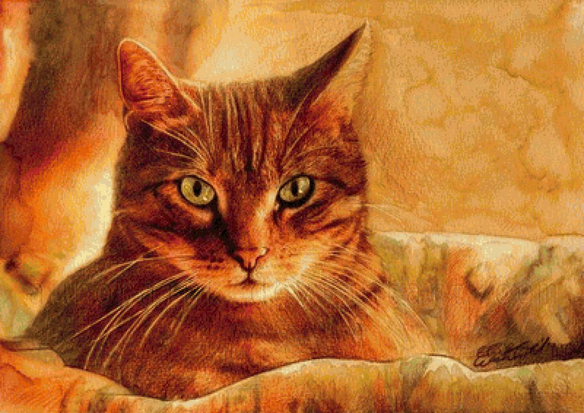 Кот - предпросмотр