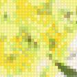 Предпросмотр схемы вышивки «Golden Wattle - australian flowers» (№2359323)