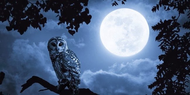 №2359329 - оригинал