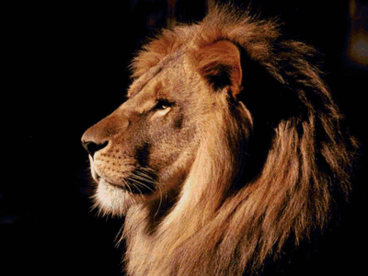 Взгляд - предпросмотр