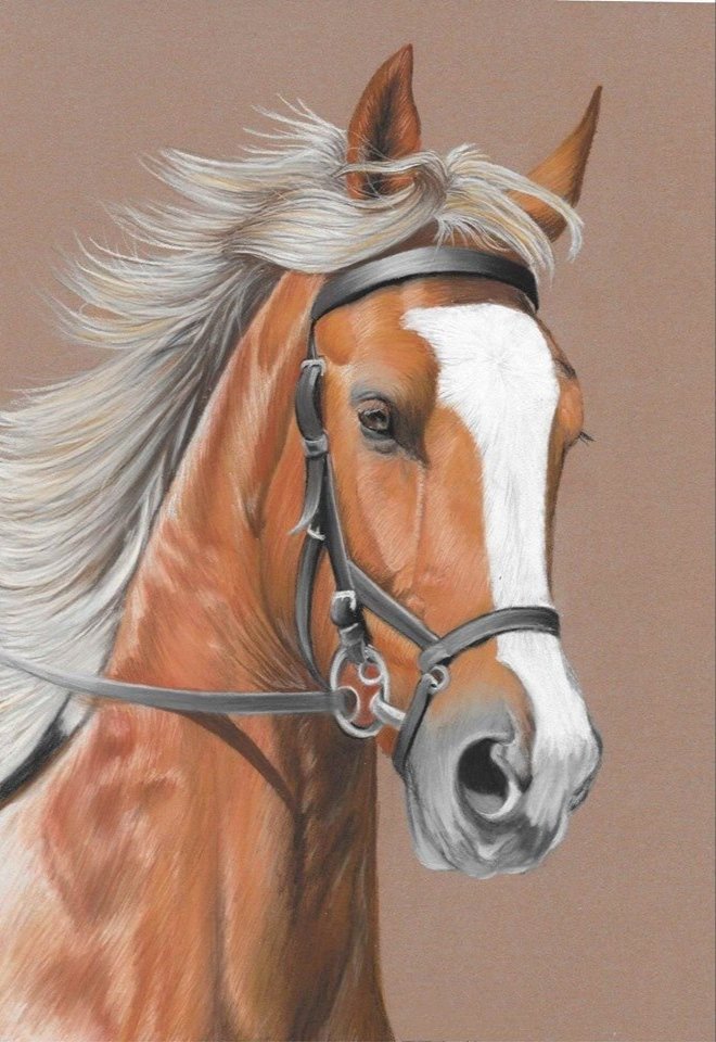 Лошадка - оригинал