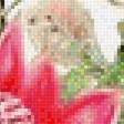 Предпросмотр схемы вышивки «Red Proteya bouquet- australian flowers» (№2359658)