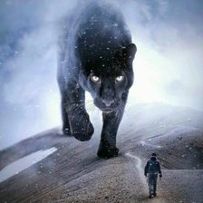 Схема вышивки «Иллюзия»