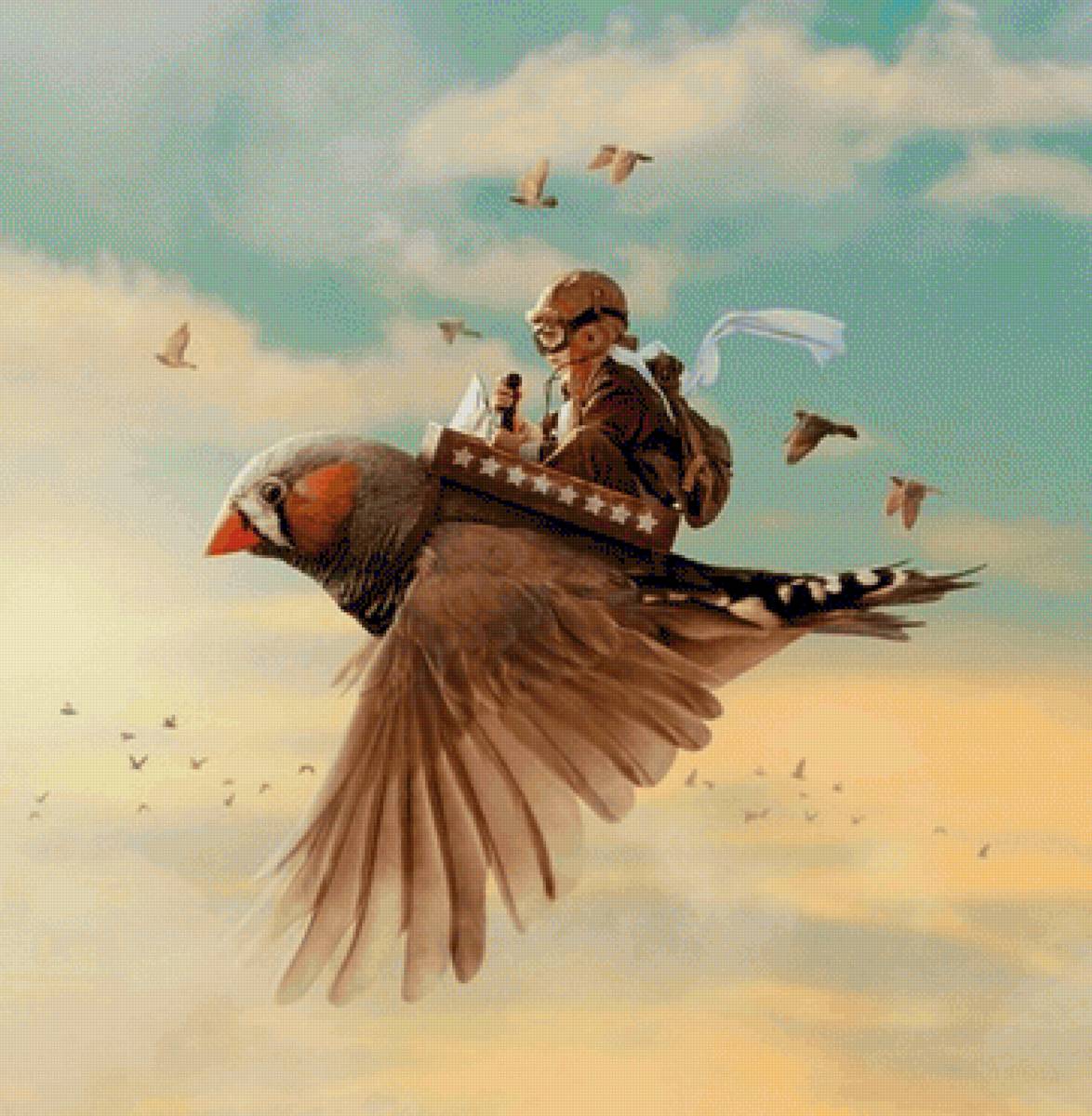 Быстрый полет - птица, мальчик, небо - предпросмотр