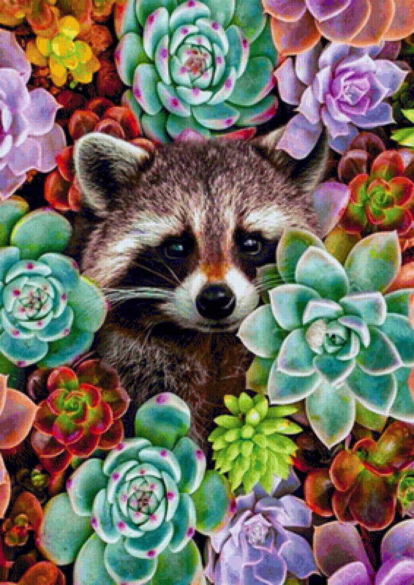 Фантазия енотика - енот, сукуленты, цветы - предпросмотр