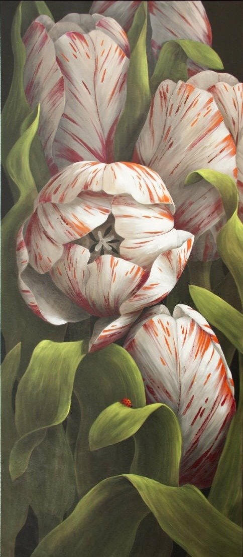 tulipanes combinados - naturaleza - оригинал