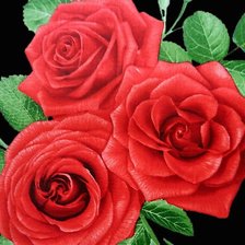 Схема вышивки «Розы»